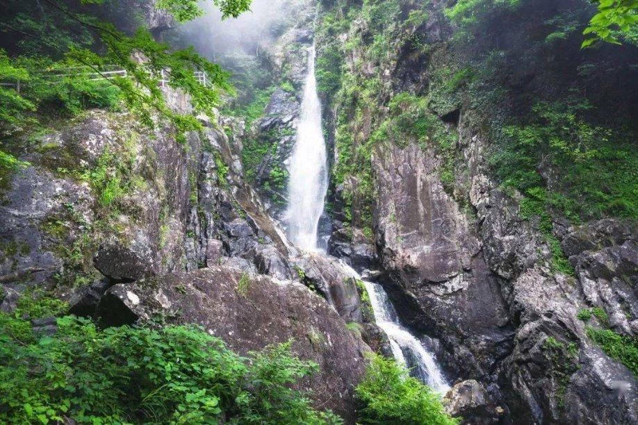 天谕手游